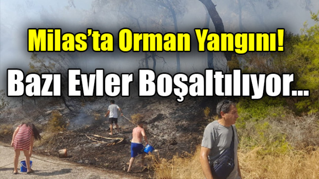 Milas’ta Orman Yangını!