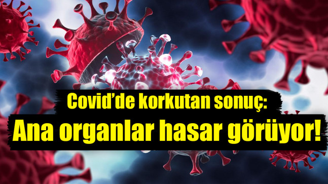 Covid’de korkutan sonuç: Ana organlar hasar görüyor