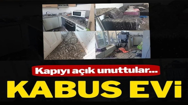 Kapıyı açık unuttular, döndüklerinde kabusu yaşadılar