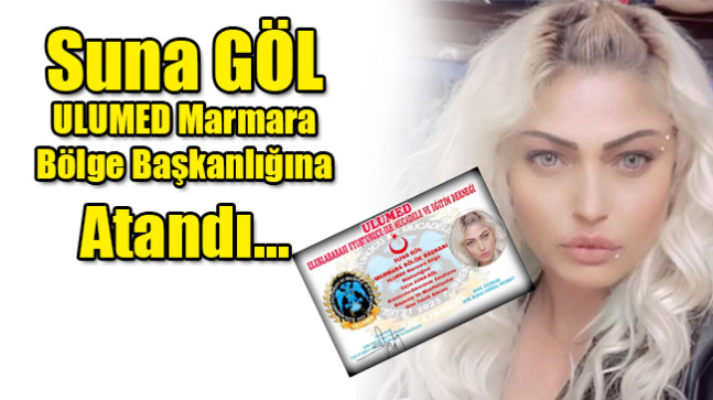 ULUMED’de anlamlı atama