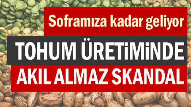 Tohum üretiminde akıl almaz skandal