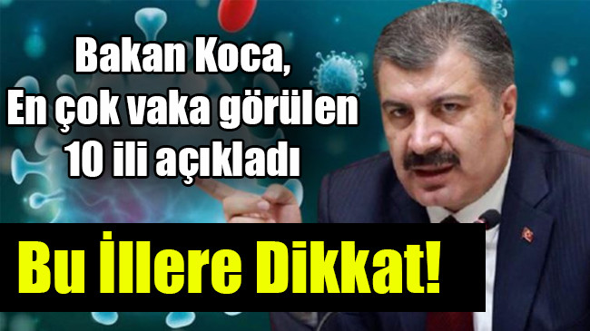 Bakan Koca, en çok vaka görülen 10 ili açıkladı