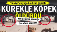 Türkiye’yi ayağa kaldıran görüntü: Kürekle köpek öldürdü